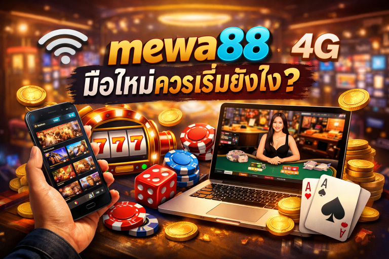 mewa88 มือใหม่ควรเริ่มยังไง